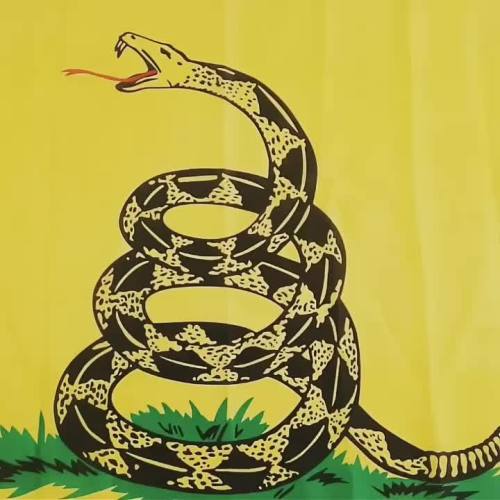 Good Standard Polyester Don't Tread on Me Flag