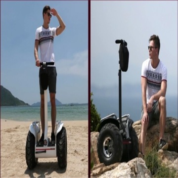 19inch 1600W Big Wheel Cross-Vehicle Balance Scooter