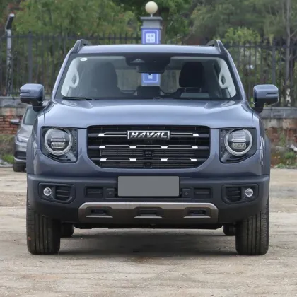 Havel Big Dog Gas Car Used Car 2021 Vehicle Gas Supply Automobile After Sales Available
