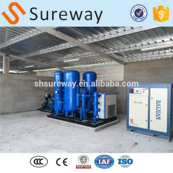 Pressure Swing Adsorption System for Oxygen Production