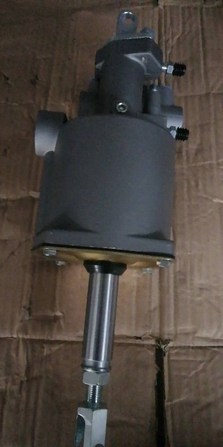 Mmexport1547298694083