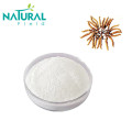High Quality Cordycepin High Quality Cordycepin extract 98% Powder Manufactory