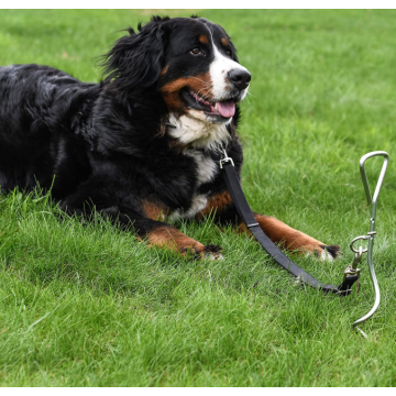 Pierre d&#39;attache de chien de 16 pouces