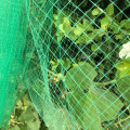 Rede plástica do pássaro do jardim anti