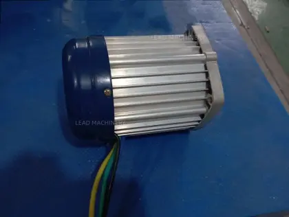 Brushless DC motor Differential motor for Electric tricycle