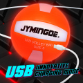 カスタムUSB充電式イルミネートライトアップダークプールバレーボールのLED Glow