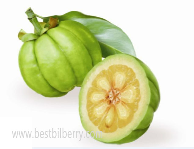 garcinia cambogia extract