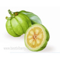 Garcinia Cambogia Extract Hydroxycitric Acid Powder