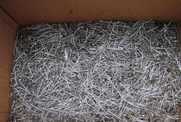 polished & galvanized common nail
