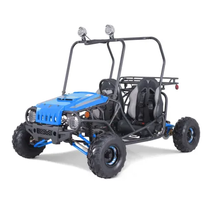 Tao Motor 125cc Chain Drive Adult Off-Road Buggy