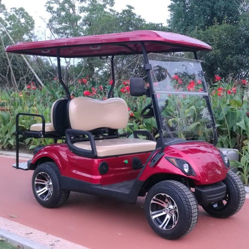 Carrito de golf de gasolina de 6 plazas