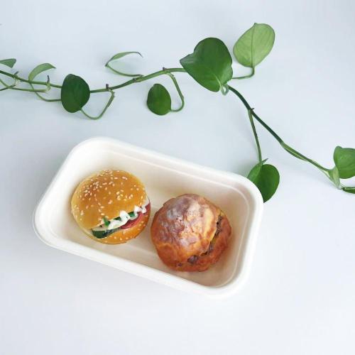 Sugarcane Pulp Tray 650ml Bagasse Food Container Sugarcane Tray Take Away Manufactory