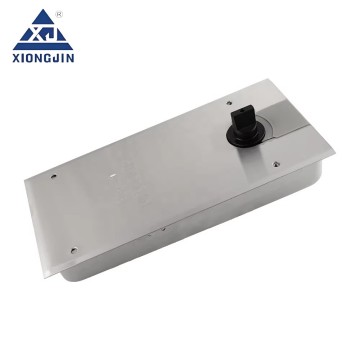 Stainless Pivot Door Floor Spring