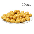 Potato