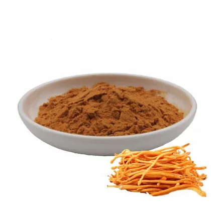 Bulk cordyceps militaris extract powder​
