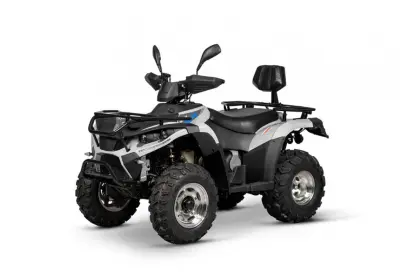 top linhai atv 300cc engine