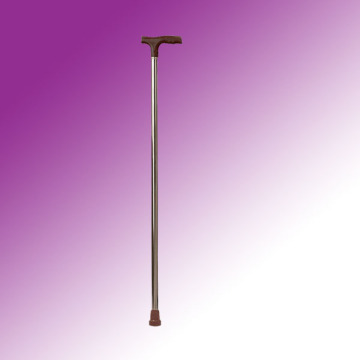 Walking Stick (ME369)