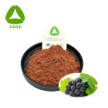 Grape Skin Extract 30% Polyphenol 5% Resveratrol Powder