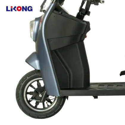Lilong City Electric Bike E-Bike E Battery