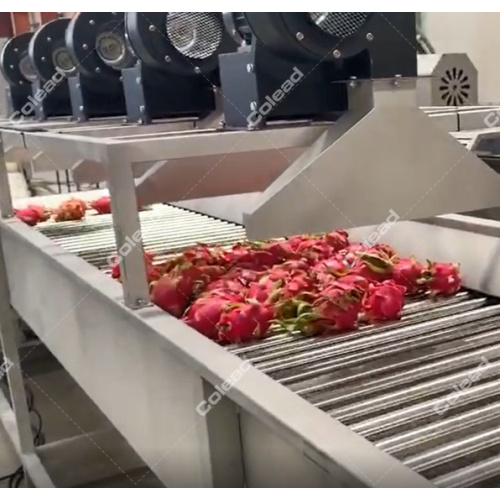 Máquina de secado de aire de verduras de alta capacidad.