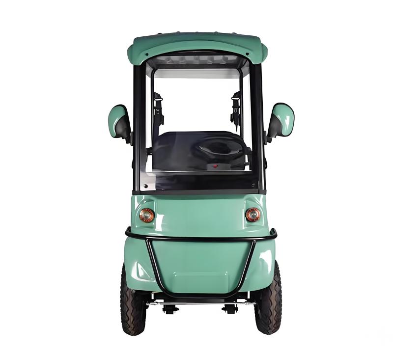 Scenic area electric sightseeing tricycle