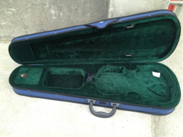 Violin Case (MV009)