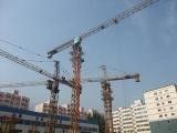 Construction Tower Crane (tc5811) 58 M Jib Length, 1.1t Rated Load Luffing Crane