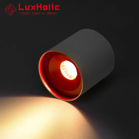 LuxHolic Nordic Dimmable COB LED Surface Mount Downlight for Corridor and Living Room