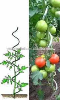 YS factory hot sale tomato twist spiral support