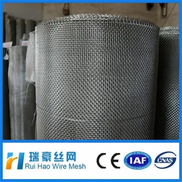 SS304 stainless steel wire mesh/stainless steel bird cage wire mesh