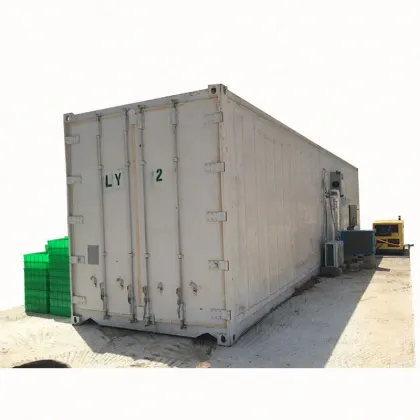 Affordable Fodder and Hydroponic Solutions: Barley, Wheat, Oats, Maize, and Sprout Machines for Animals