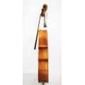 High Quality Handmade Varnish Maple Cello