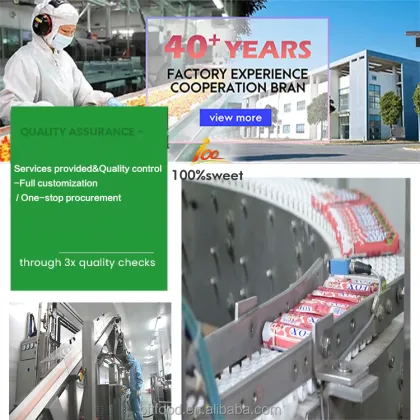 Bulk Twist Swirl Lollipop Variety Pack - Individually Wrapped Rainbow Spiral Pops