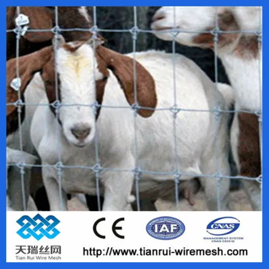 cheap Hot dipped galvanized cattle fence for sale(direct manufacturer)