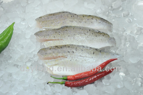 frozen skin on sea bass fillets