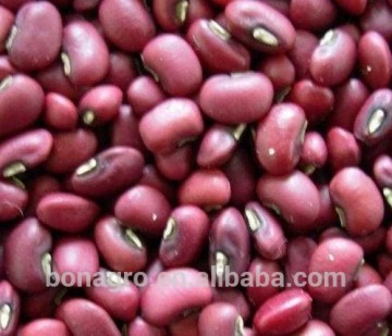 Top sell red cowpeas