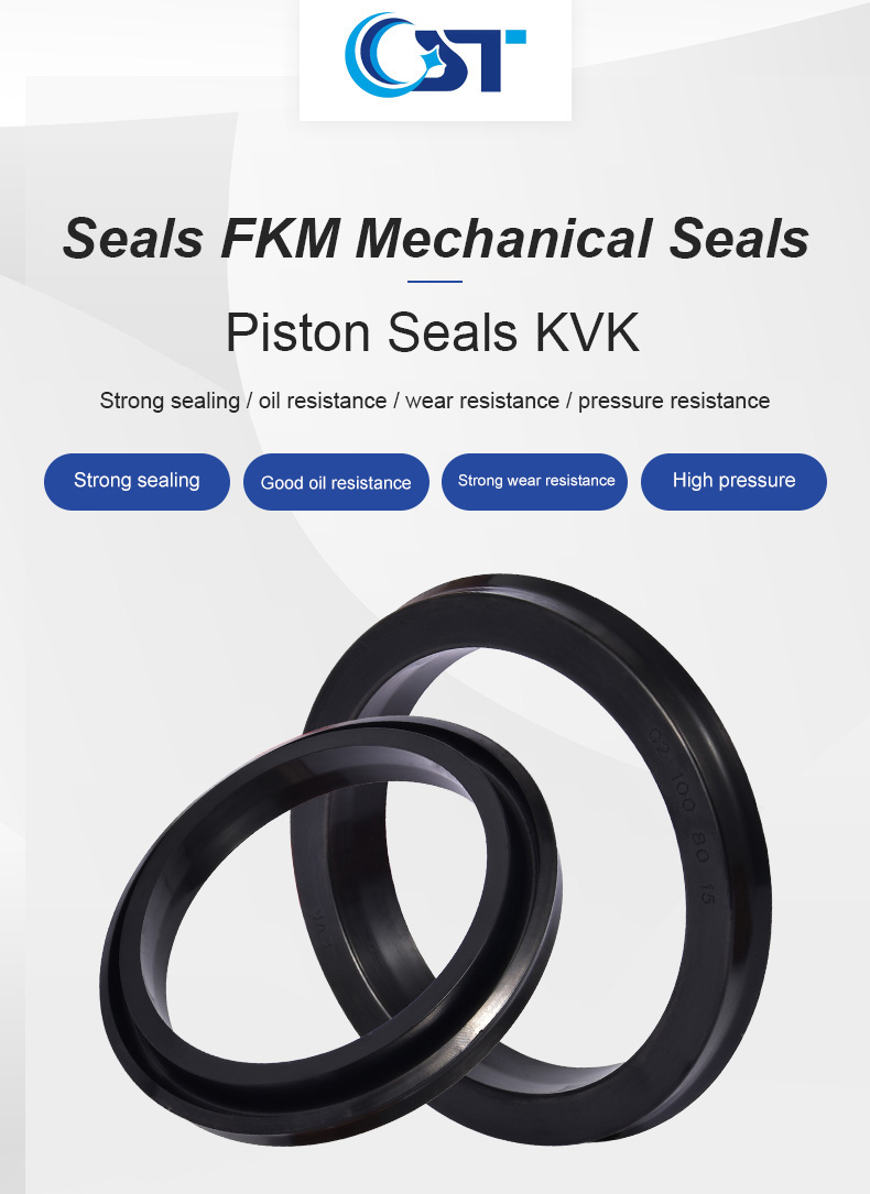 C2 Piston Seals Fkm