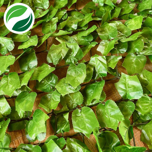 Network simulation light toothed maple leaf