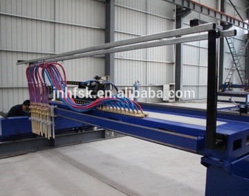 Quality Guaranteed CNC Plasma and 8 Flame / Gas Strips Cutting torches Machines