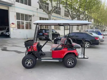 Cheerwin Tanon Battery 100Ah Maintenance-Free 4KW Motor Golf Car