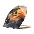 /msite/products/detail/productid/63274555/id/1520850.html