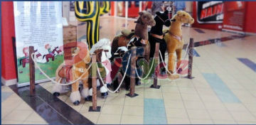 ponycycle horse on wheels for sale