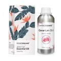 Top Selling Quality 100% Pure Geranium Oil at good Price