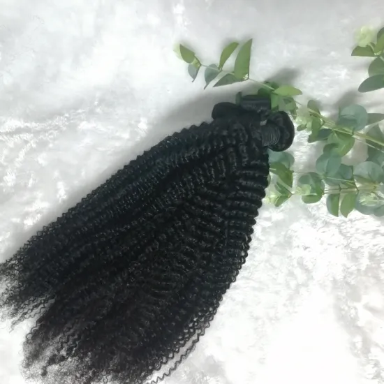 kinky curly Wholesale Virgin Human Hair Bundle Vendor Cuticle Aligned Hair Free Sample 8A Siliky Brazilian Hair Bundle