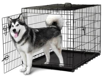 Dog Crates for Cars