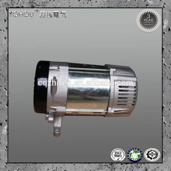 gasoline engine powered electricity generator alternator rotor magnet