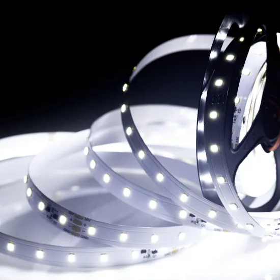 LED flexible strip high brightness lights DC36V 30M smd2835 WW/NW/W is optional strips led light