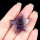 Amethyst 30mm Smiling Starfish Pendant & Ornament for Home Decoration Handmade Craved Stone Solar