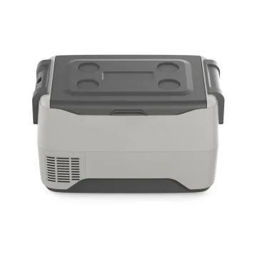 12v 24v AC DC portable freezer with compressor for car