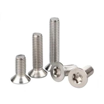 Stainless Steel Torx Screw Plum Socket Countersunk Head